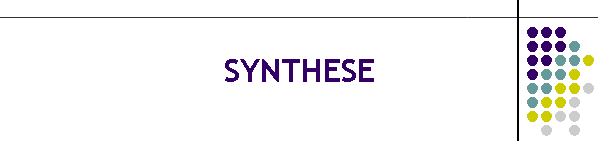 SYNTHESE