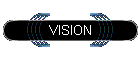 VISION
