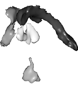 \hbox{\psfig{figure=../figures_98/theo_vue3Dsysven.ps,width=6cm}}
