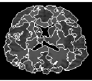 \epsfig{figure=../figures_98/aymeric_imLpe200.ps,width=4cm}